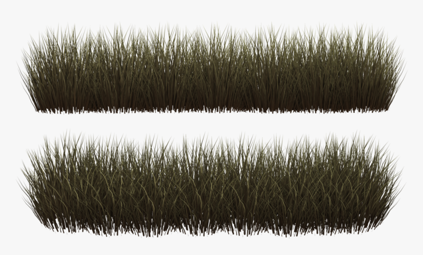 Thumb Image - Transparent Grass Brush Png, Png Download, Free Download