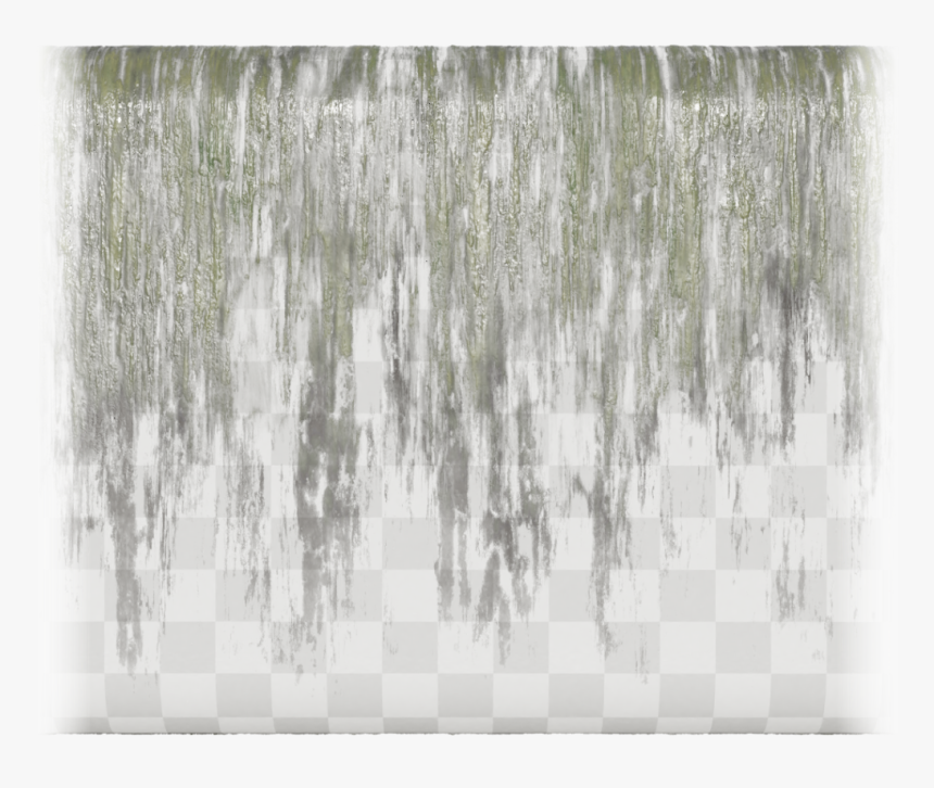 Canoe Birch, HD Png Download, Free Download