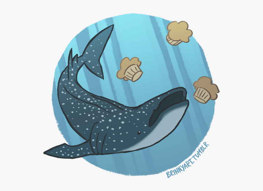 Dory Clipart Whale Shark - Sharks, HD Png Download, Free Download