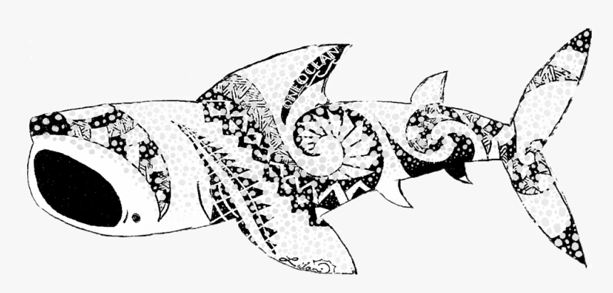 Kaikoa Whale Shark Ts, HD Png Download, Free Download