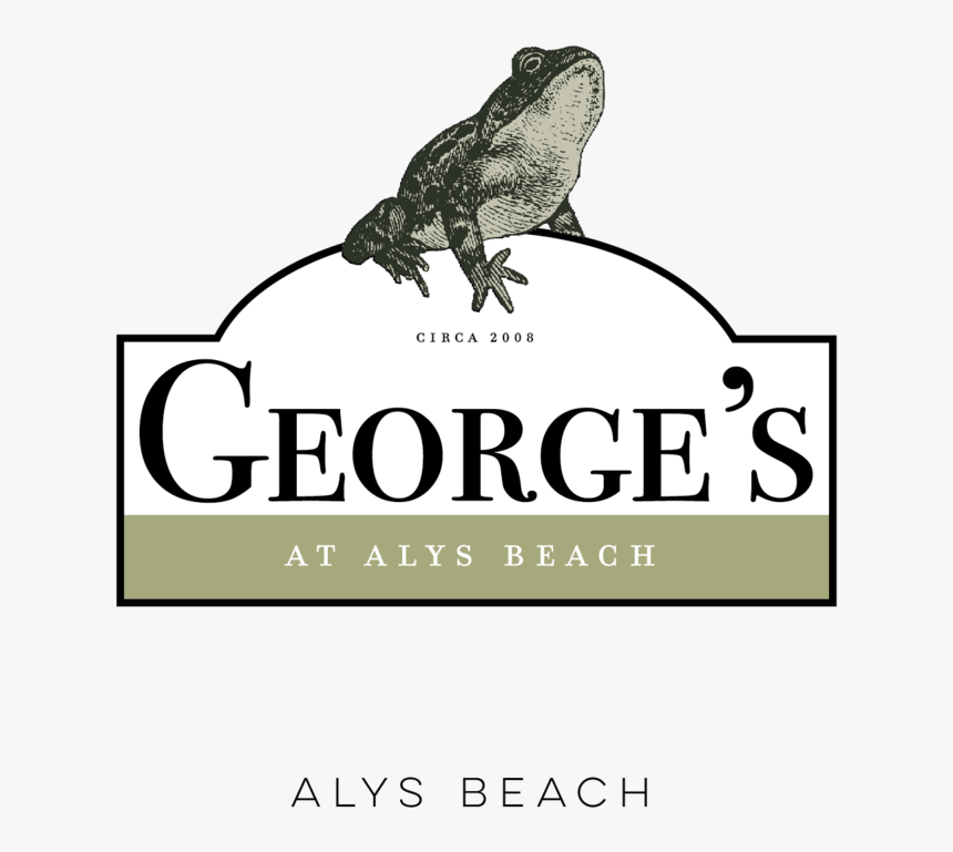Georges - Parrot, HD Png Download, Free Download
