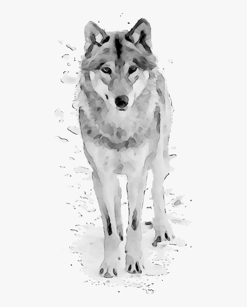 Wolf Dog Clipart Clip Art Library Wolf Cartoon Clipart - Wolf Dog Clipart, HD Png Download, Free Download