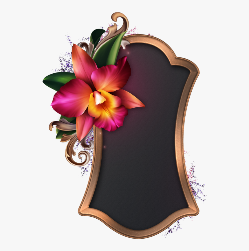 Transparent Florals Png - Lily, Png Download, Free Download