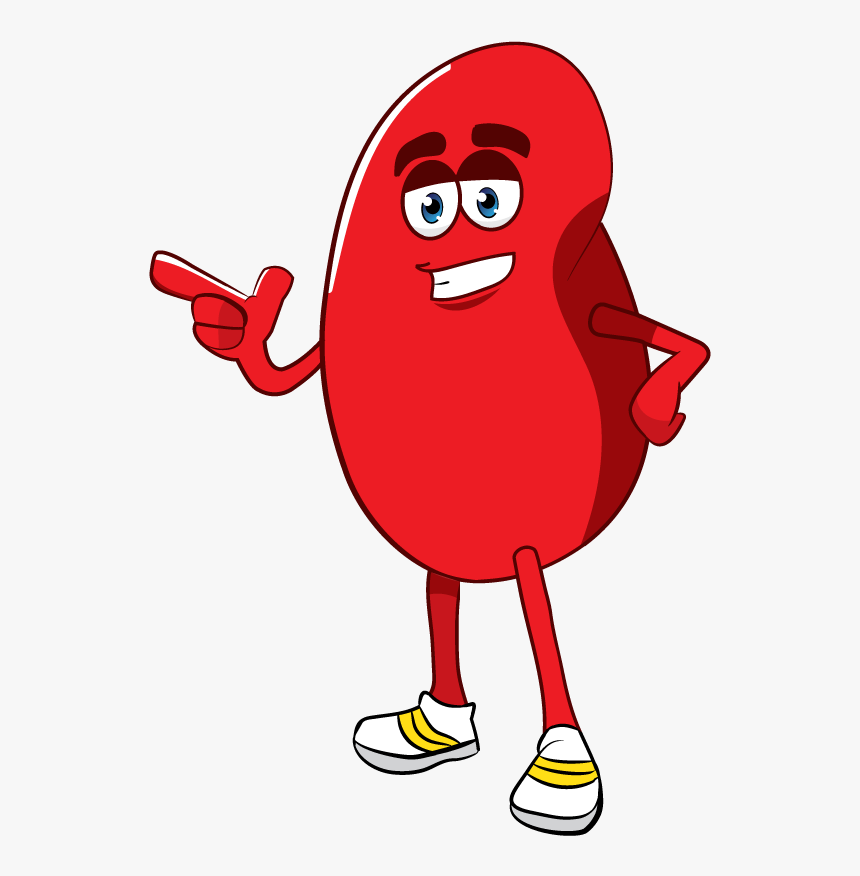 Free Cartoon Photo - Red Blood Cell Kidney Cartoon, HD Png Download, Free Download