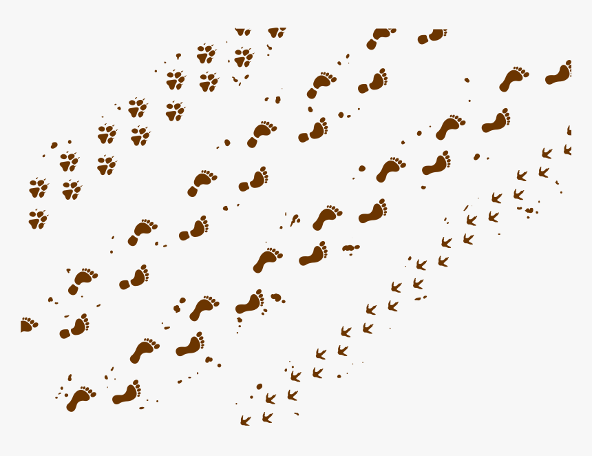 Transparent Background Clipart Muddy Paw Print, HD Png Download, Free Download