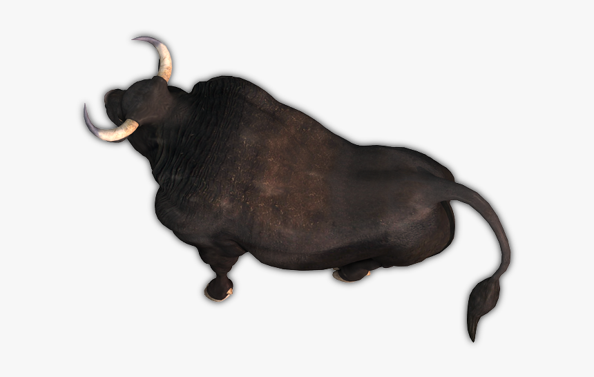 Dundjinni Ox, HD Png Download, Free Download