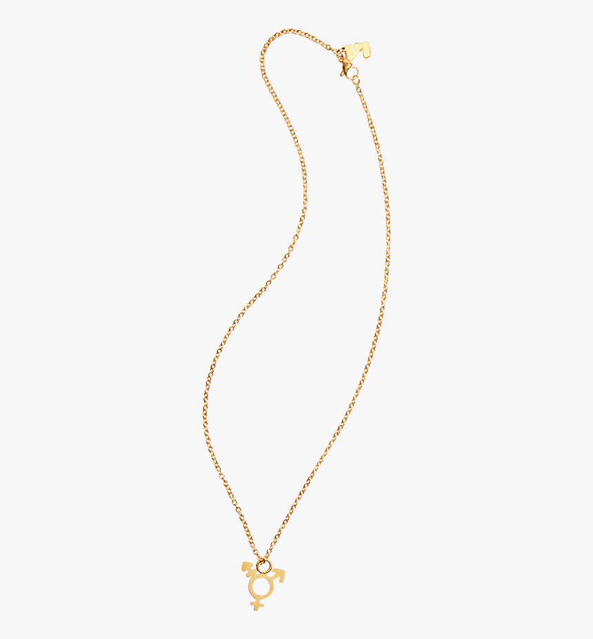 Gold Necklace With Transgender Symbol Charm - Necklace, HD Png Download ...