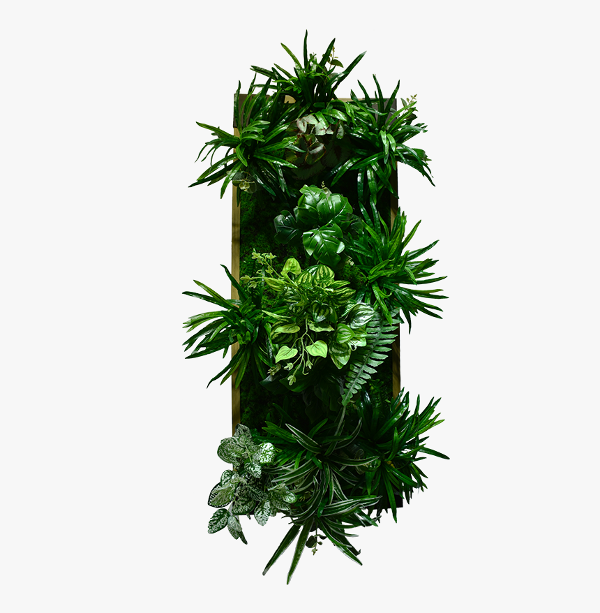 Green Wall Decoration With Frame Design Eolb11p001 - Houseplant, HD Png Download, Free Download