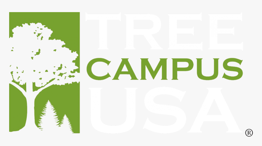 Tree Campus Usa, HD Png Download, Free Download