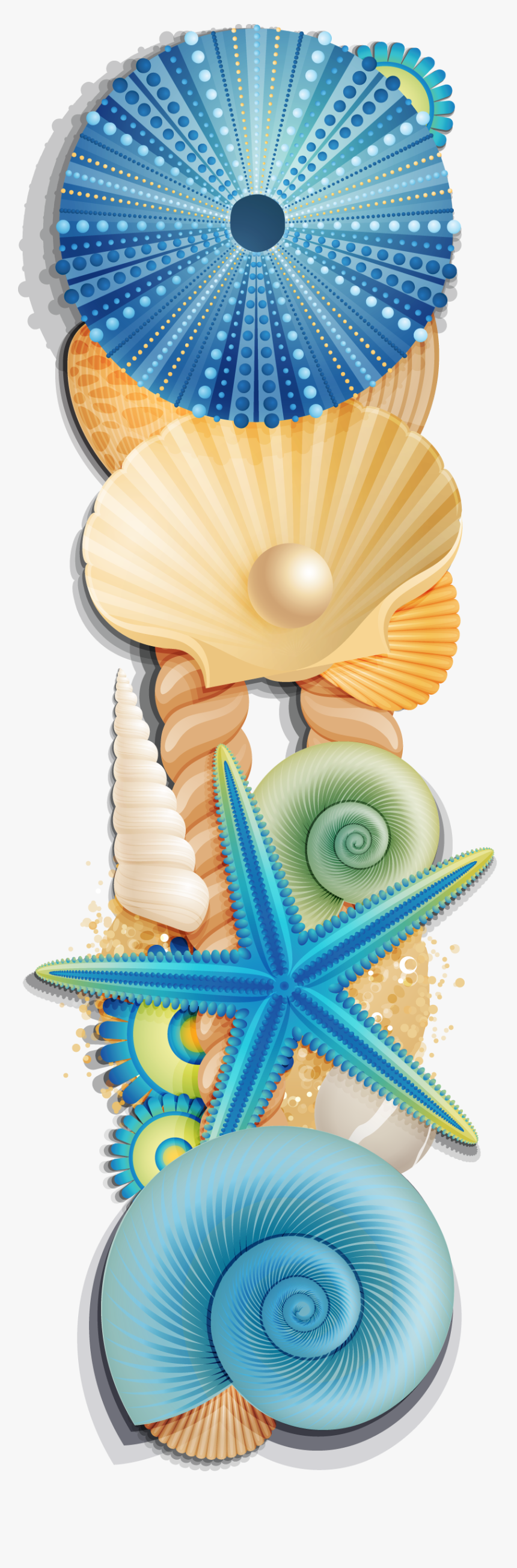 Sea Shells Border Clip Art, HD Png Download, Free Download