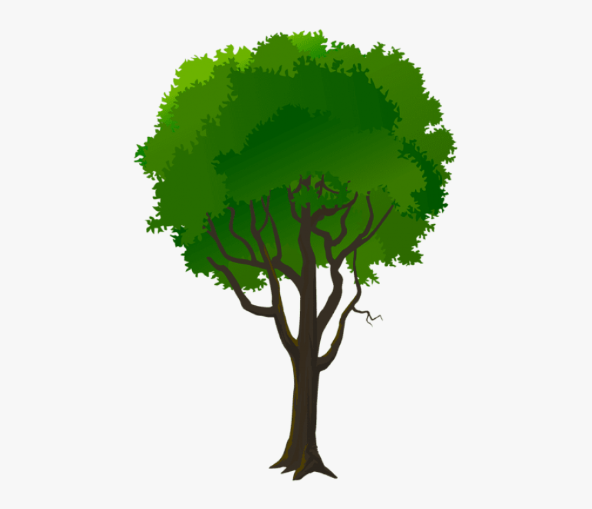 Pine Trees Clipart - Illustration, HD Png Download, Free Download
