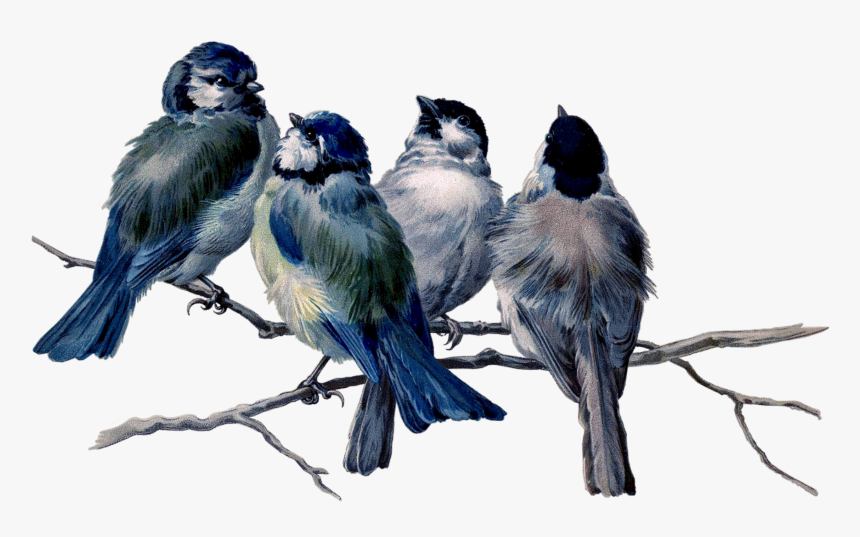 Mq Blue Birds Bird Flying Animal - Bird Branches Vintage Painting, HD Png Download, Free Download