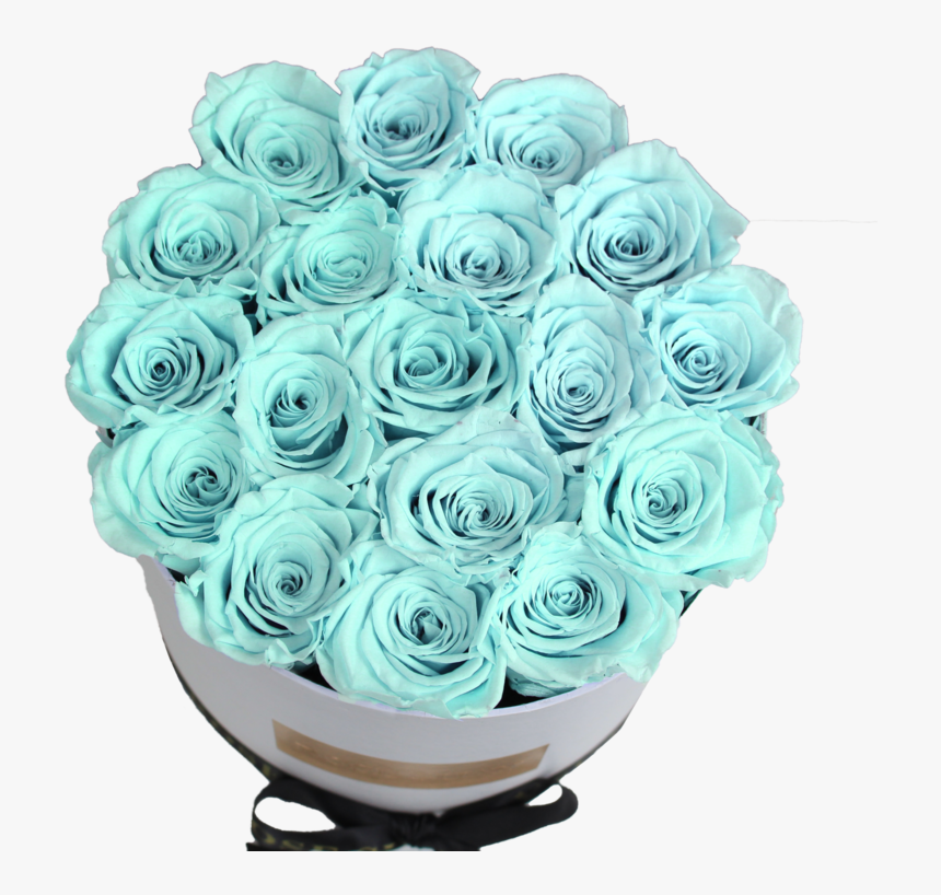 Garden Roses, HD Png Download, Free Download
