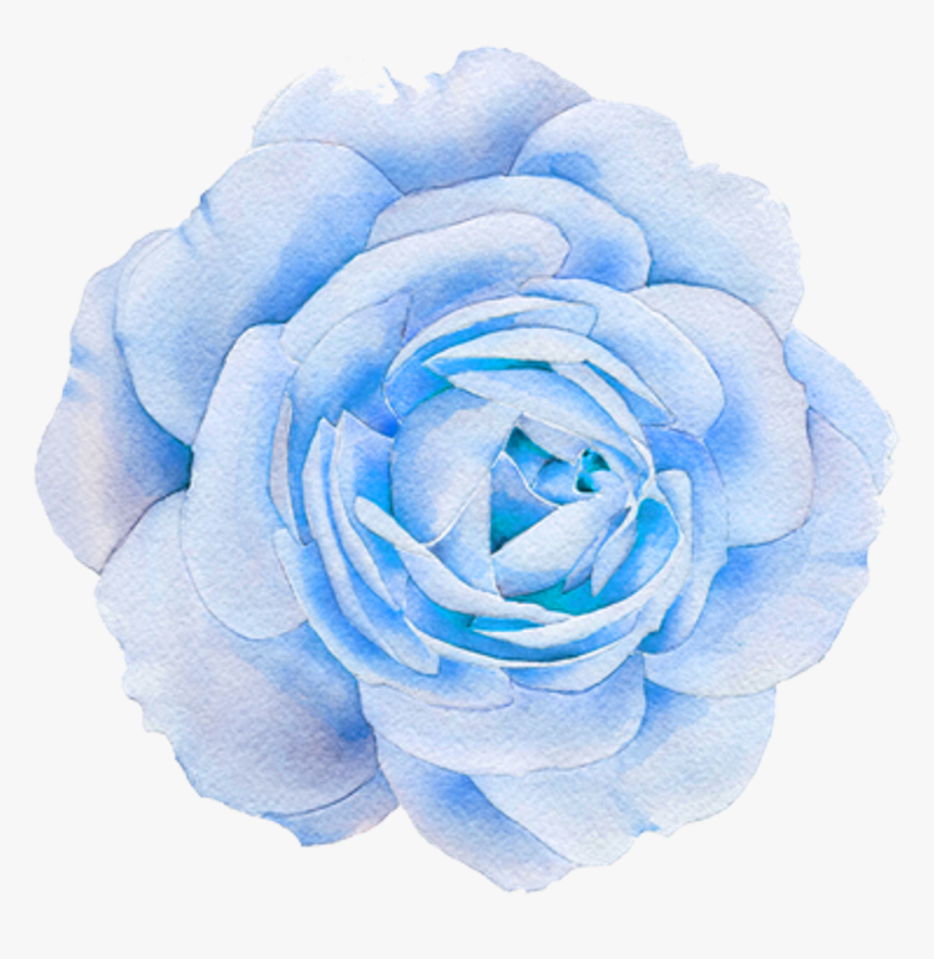 #flower #flowers #nature #blue #rose - Transparent Png Aesthetic Rose, Png Download, Free Download