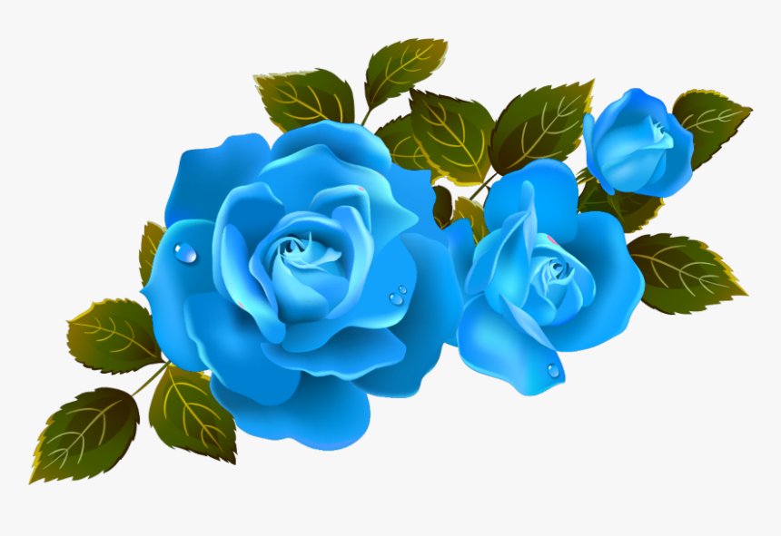 Mq Blue Roses Rose Flower Flowers - Png Clipart Rose Flower, Transparent Png, Free Download