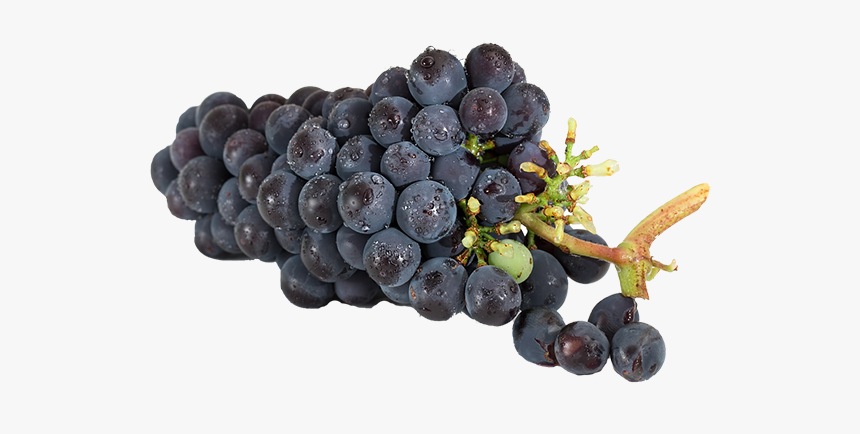 Grape Jelly - Long Do Grapes Last In The Fridge, HD Png Download, Free Download