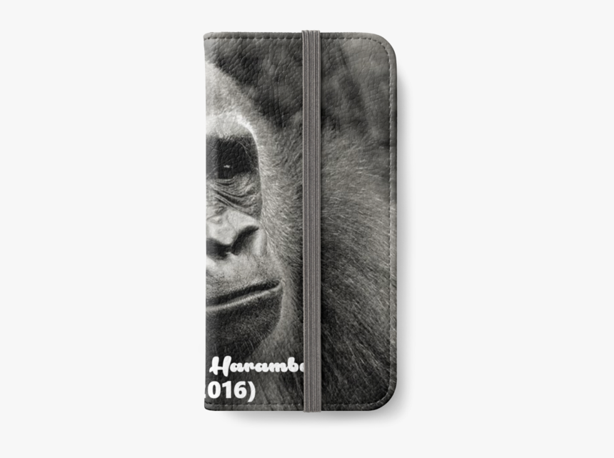 Gorilla, HD Png Download, Free Download