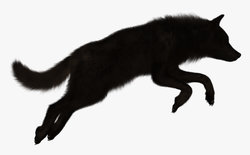 Black Wolf Png - Black Wolf On White Background, Transparent Png, Free Download