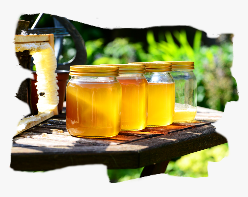 Honey In Jars - Miel Organica, HD Png Download, Free Download
