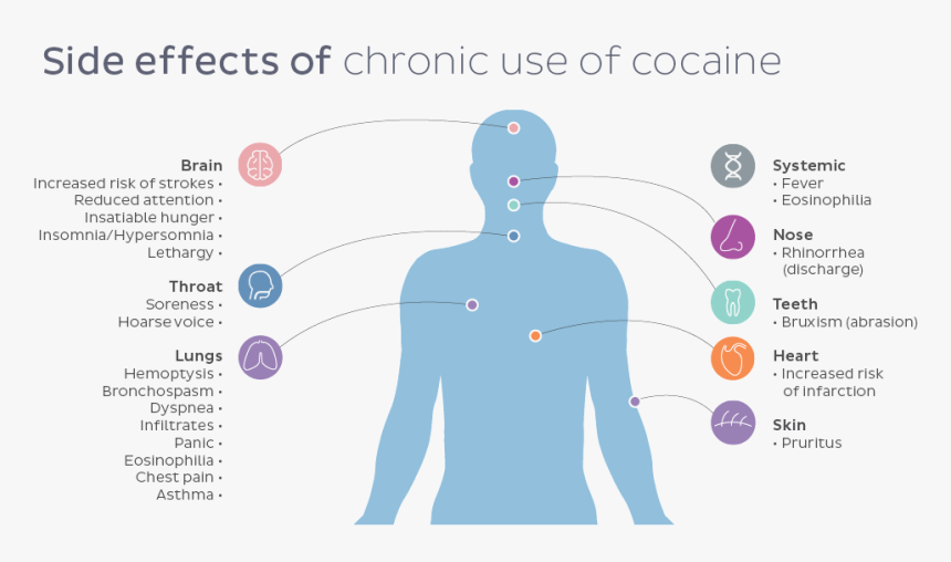 Side Effects Of Cocaine - Efectos De La Cocaina En La Salud, HD Png Download, Free Download