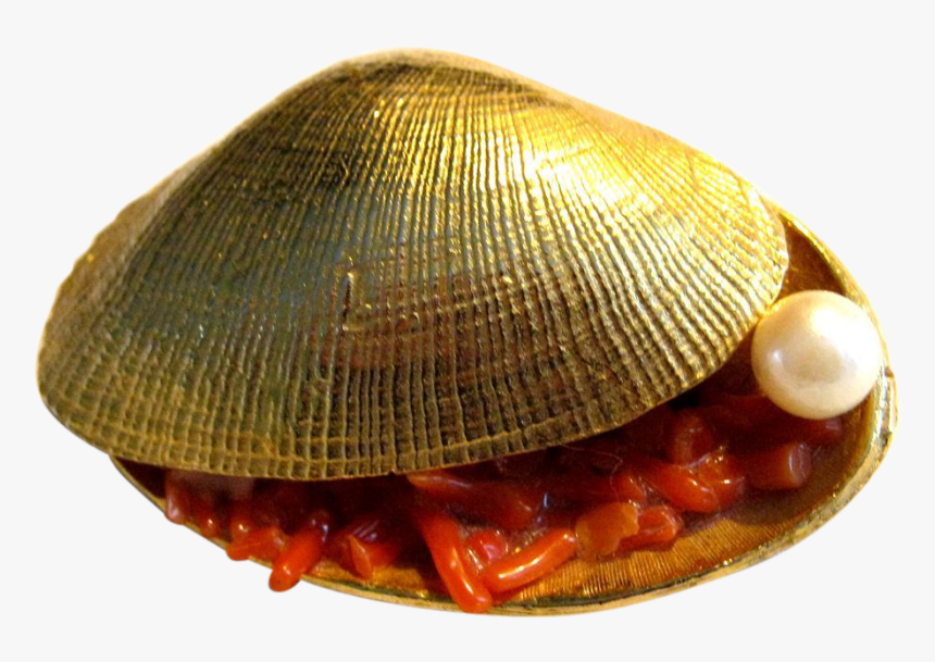 Cockle, HD Png Download, Free Download