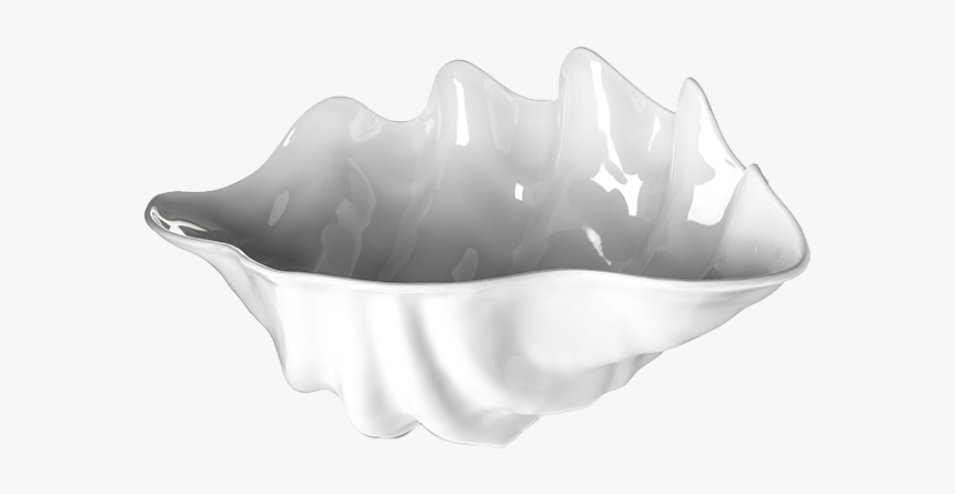 Carlisle Buffet Clam Shell - Conch, HD Png Download, Free Download