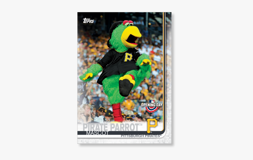 Pirate Parrot™ 2019 Opening Day Baseball Insert Poster - Pirate Parrot Pittsburgh 2019, HD Png Download, Free Download