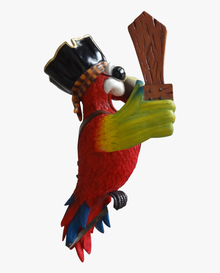 Macaw, HD Png Download, Free Download