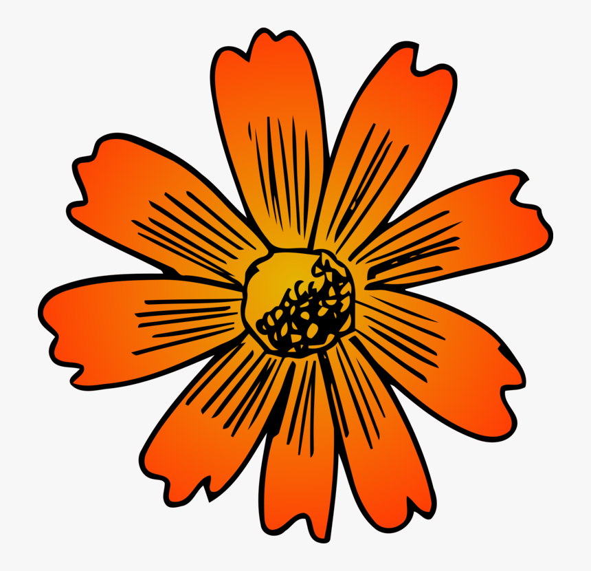 Plant,flora,sunflower - African Daisy, HD Png Download, Free Download