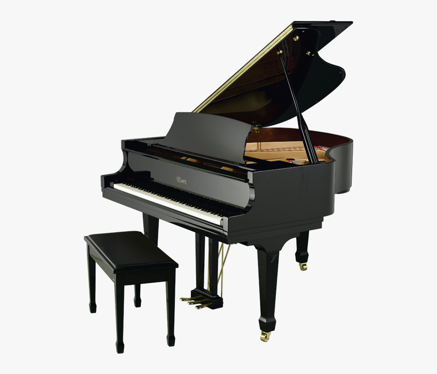 Grand Piano Price Philippines, HD Png Download, Free Download