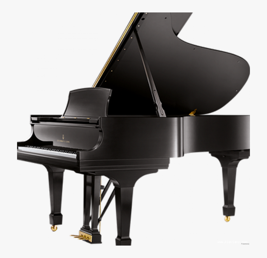 Steinway & Sons D-274, Toronto, Canada - Pianoforte A Coda Steinway & Sons Prezzo, HD Png Download, Free Download