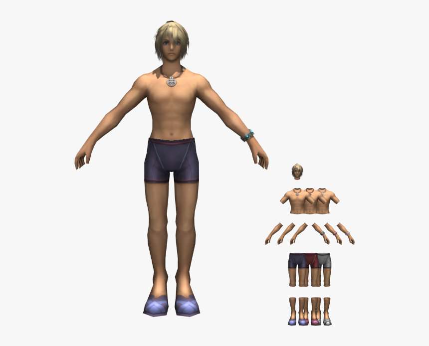 Download Zip Archive - Xenoblade Chronicles Shulk Swimsuit, HD Png Download, Free Download