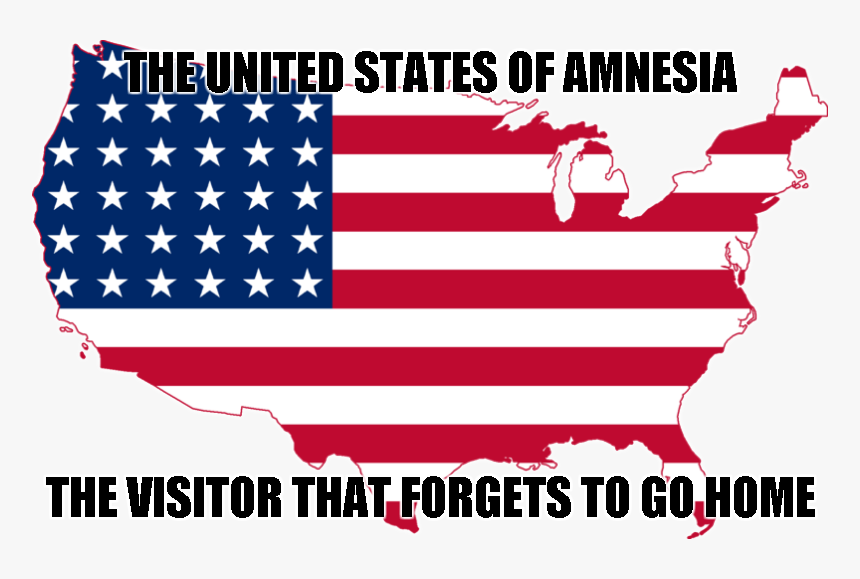 Amnesia Meme - United States Map Small, HD Png Download, Free Download
