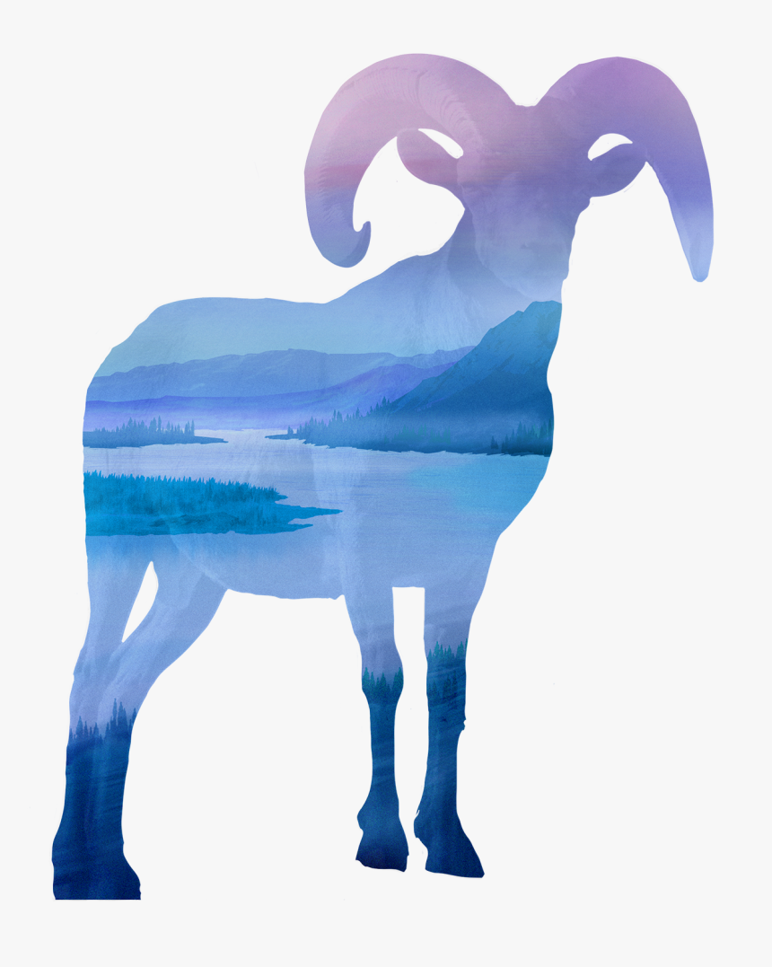 Argali, HD Png Download, Free Download