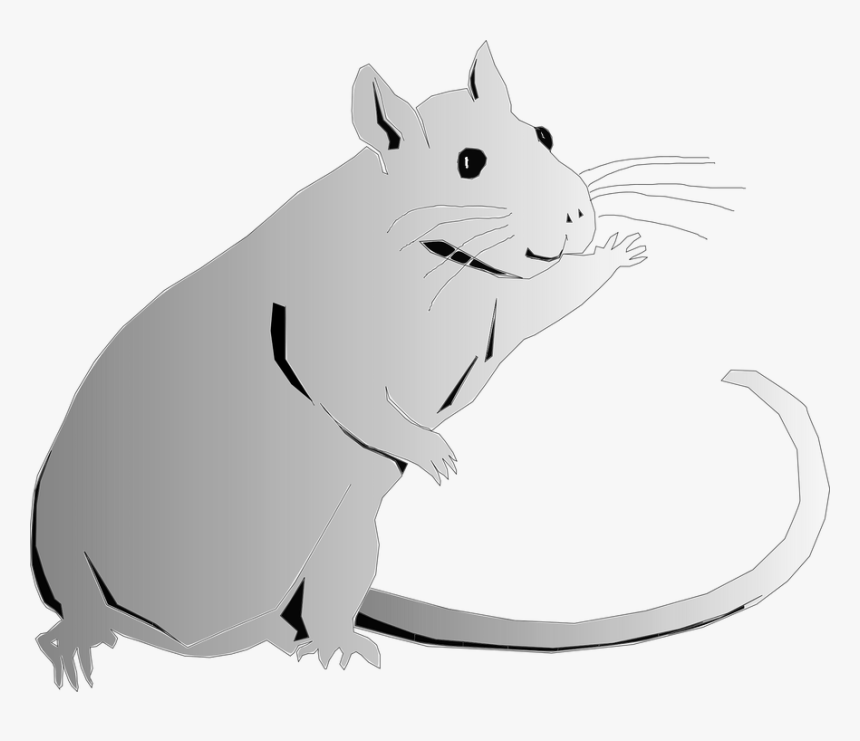 Rat Vector Art Transparent, HD Png Download, Free Download