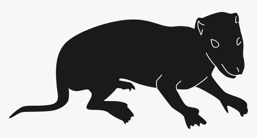 Black Bear Silhouette Png, Transparent Png, Free Download