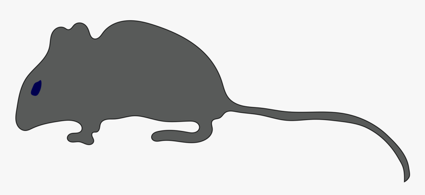 Snout,muridae,tail - Little Mice Clip Art, HD Png Download, Free Download