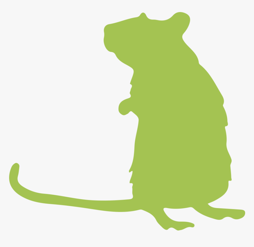 Fancy Rats » - Rat Silhouette, HD Png Download, Free Download