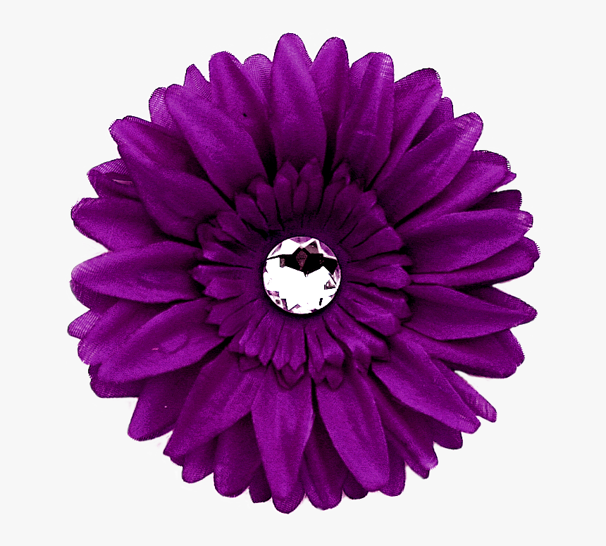 Daisy Purple Png Image With Transparent Background - Purple Gerber Daisy Clipart, Png Download, Free Download