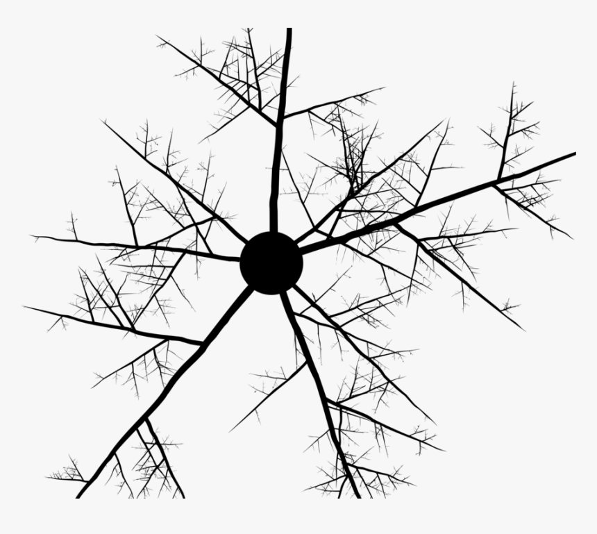 Twig Branch Abstract Art Tree Line Art - Abstract Point And Line Art, HD Png Download, Free Download