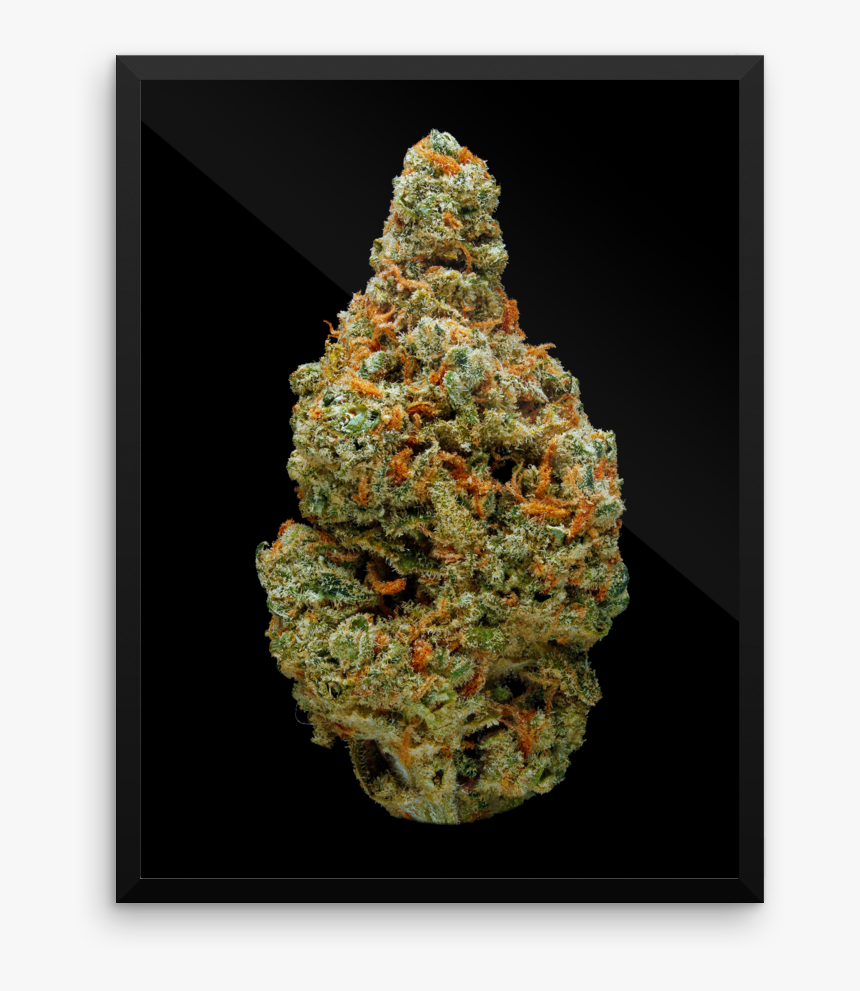 Green Crack - Art Print - Christmas Tree, HD Png Download, Free Download