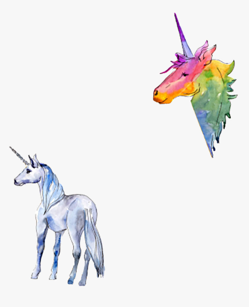 #watercolor #unicorns #white #rainbow #colorful #png - Unicorn, Transparent Png, Free Download