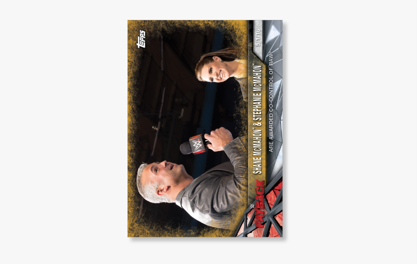 Shane Mcmahon & Stephanie Mcmahon 2017 Wwe Road To - Picture Frame, HD Png Download, Free Download