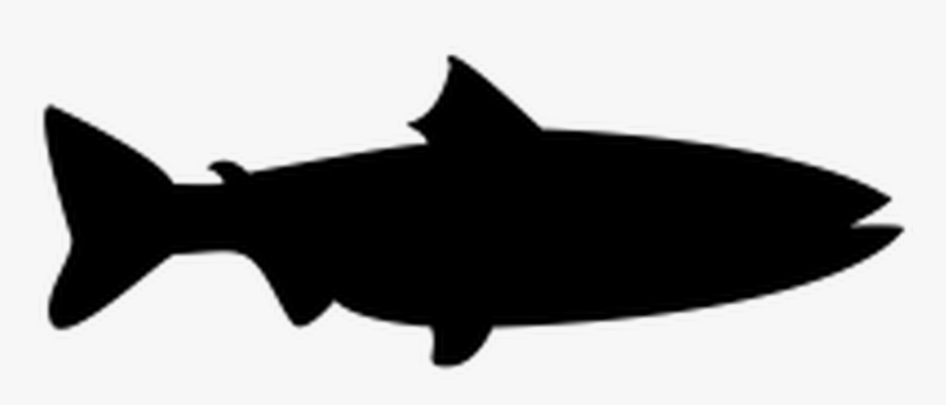 Fish Vector Shape , Png Download - Salmon Black Clipart, Transparent Png, Free Download