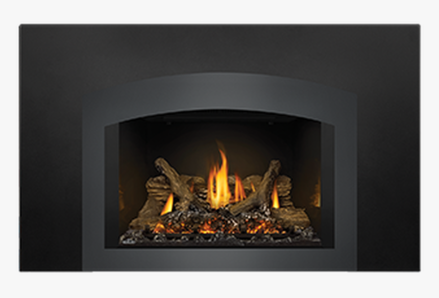 Napoleon Gdix4 Oakville Series Gas Fireplace Insert - Hearth, HD Png Download, Free Download