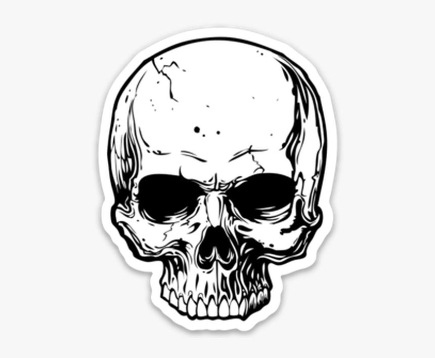 Skull, HD Png Download, Free Download