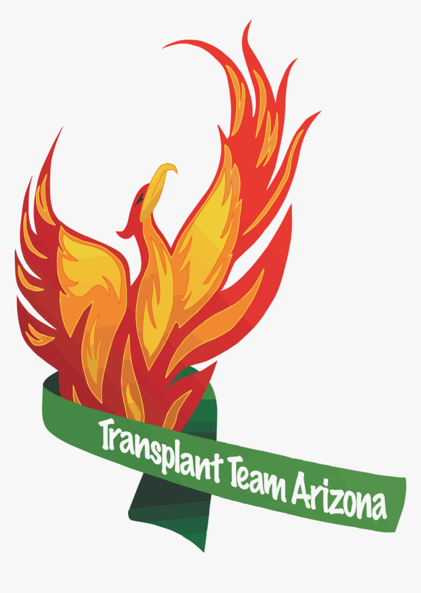 Transplant Team Az Annual Meeting, HD Png Download, Free Download