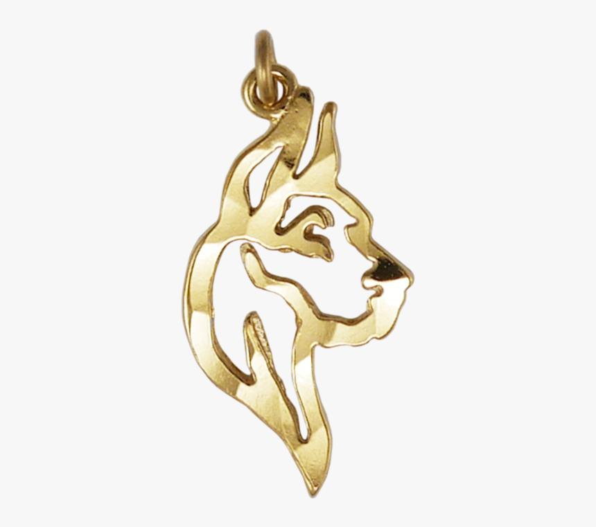 Pendant, HD Png Download, Free Download