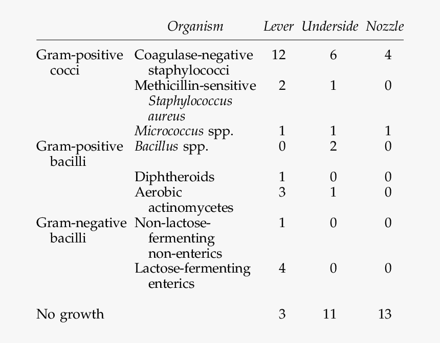 Document, HD Png Download, Free Download
