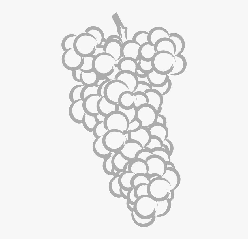 Illu Grapes - Line Art, HD Png Download, Free Download